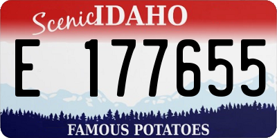 ID license plate E177655