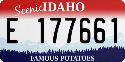 ID license plate E177661