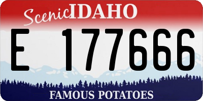 ID license plate E177666