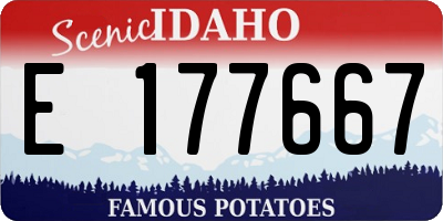 ID license plate E177667