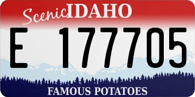 ID license plate E177705