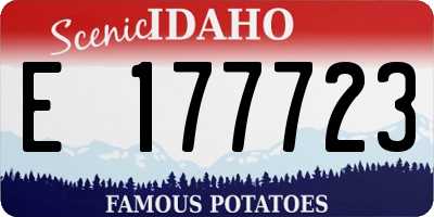 ID license plate E177723