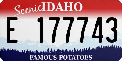 ID license plate E177743