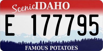 ID license plate E177795