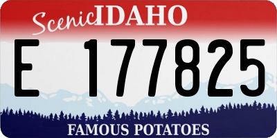 ID license plate E177825