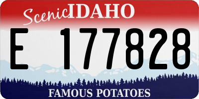 ID license plate E177828