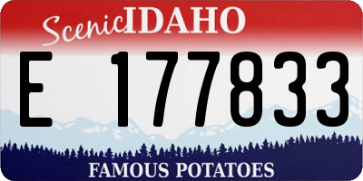 ID license plate E177833