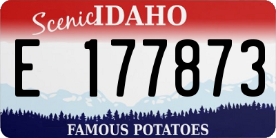 ID license plate E177873