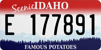 ID license plate E177891