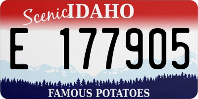 ID license plate E177905