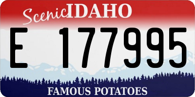 ID license plate E177995