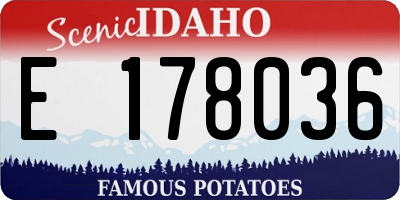 ID license plate E178036