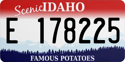 ID license plate E178225