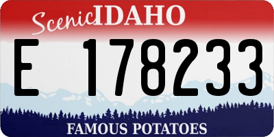 ID license plate E178233