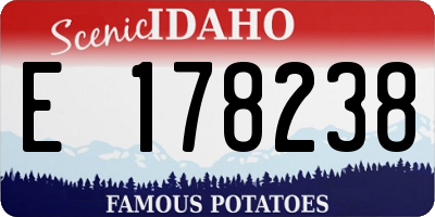 ID license plate E178238