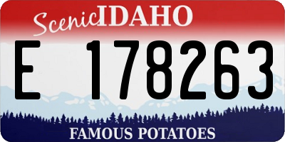 ID license plate E178263