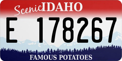 ID license plate E178267