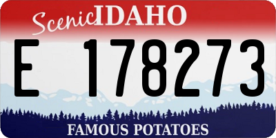 ID license plate E178273