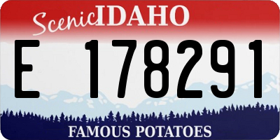 ID license plate E178291