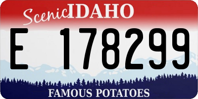 ID license plate E178299