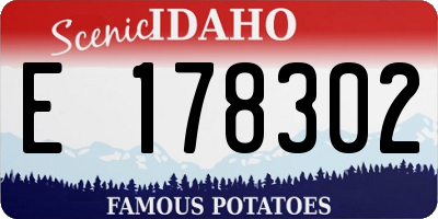 ID license plate E178302