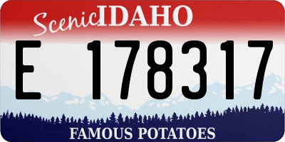ID license plate E178317