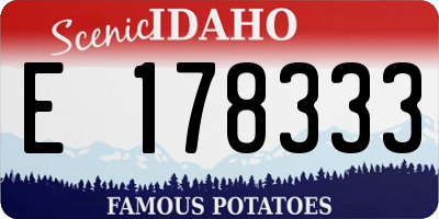 ID license plate E178333