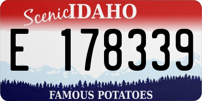 ID license plate E178339