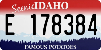 ID license plate E178384