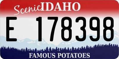 ID license plate E178398