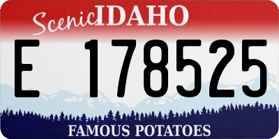 ID license plate E178525