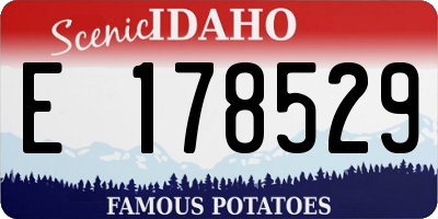 ID license plate E178529