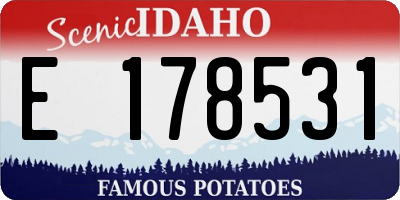 ID license plate E178531