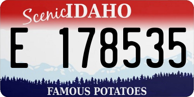 ID license plate E178535