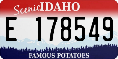 ID license plate E178549
