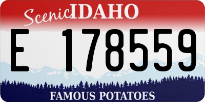 ID license plate E178559