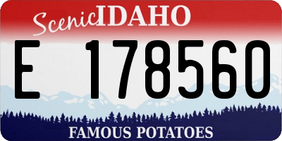 ID license plate E178560