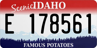 ID license plate E178561