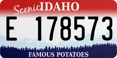ID license plate E178573