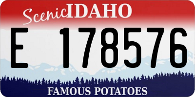 ID license plate E178576