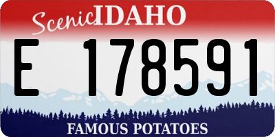 ID license plate E178591