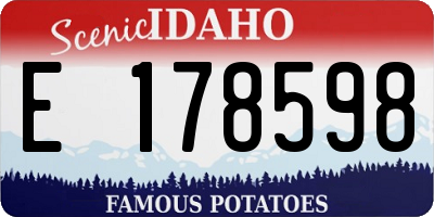 ID license plate E178598