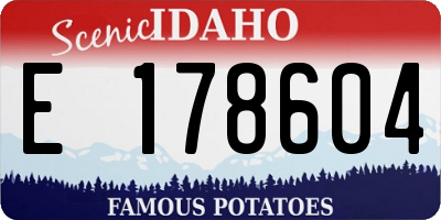 ID license plate E178604