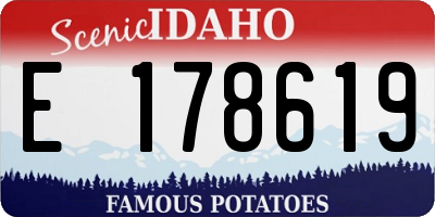 ID license plate E178619