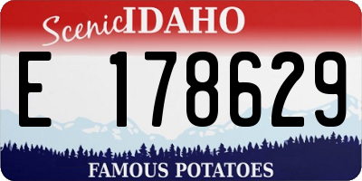 ID license plate E178629