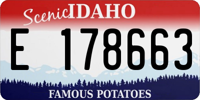 ID license plate E178663