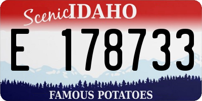ID license plate E178733