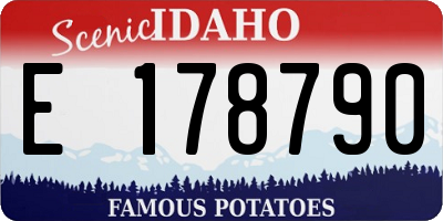 ID license plate E178790