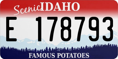 ID license plate E178793