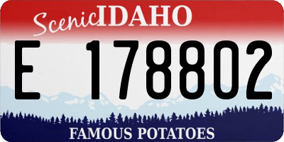 ID license plate E178802